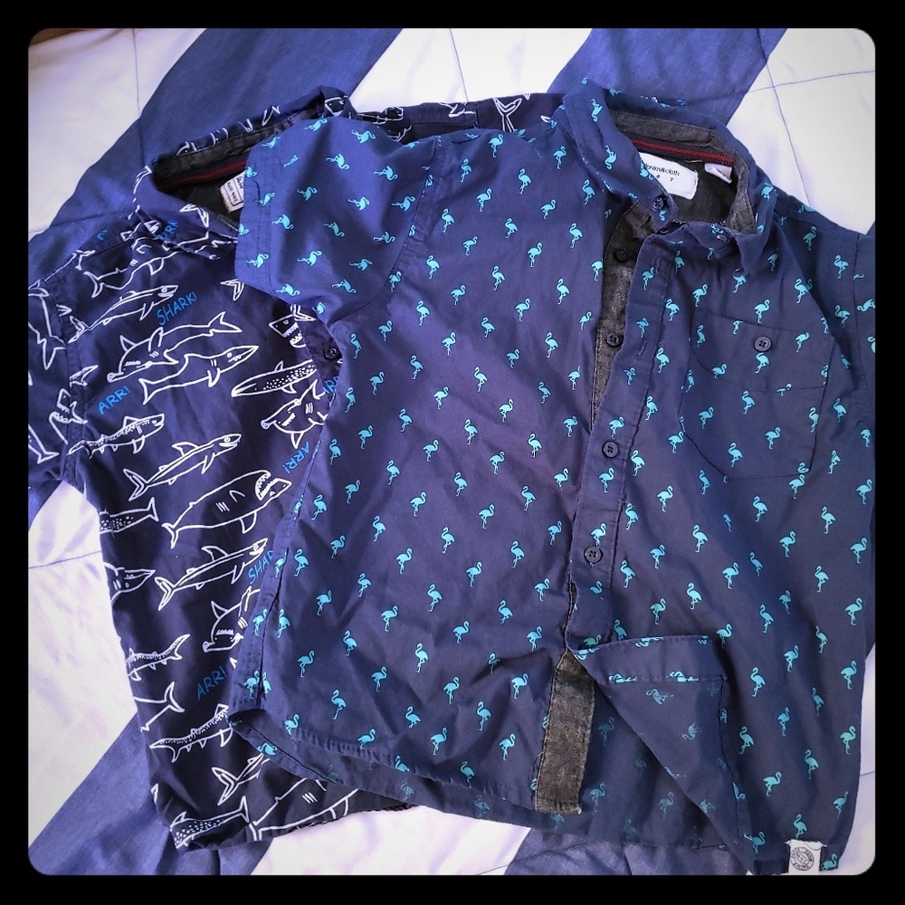 Shark Flamingo Novelty Shirt